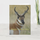 Search for heade cards For him