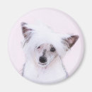 Search for powder magnets White