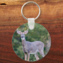 Search for deer buck key rings Wildlife