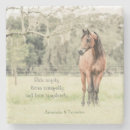 Search for arabian coasters Equine