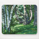 Search for hillside mouse mats Nature