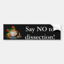 Search for rainforest bumper stickers Frog