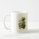 Search for kestrel mugs Falco sparverius