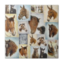Search for mustang tiles Western
