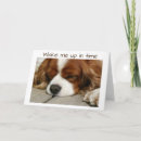 Search for charles spaniel cards Photography