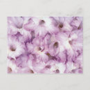 Search for glad postcards Flower