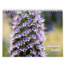 Search for collectable calendars Collection