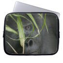 Search for uganda electronics Wildlife