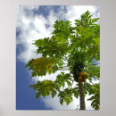 Search for negative space posters Nobody