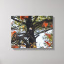 Search for eagle canvas prints Tree