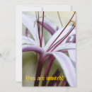 Search for lilly flower invitations White