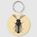 Search for entomology key rings Insect