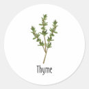 Search for thyme stickers Spices
