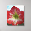 Search for against canvas prints White