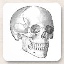 Search for vintage anatomy coasters Skull