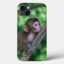 Search for baby monkey iphone cases Japanese macaque