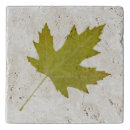 Search for maple trivets leaf