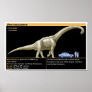 Search for brachiosaurus posters Cute