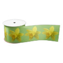 Search for daffodil ribbon Yellow flowers