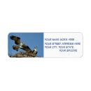 Search for hawk return address labels Birds of prey