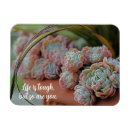 Search for petals magnets Green