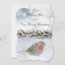 Search for snowbird cards Nature