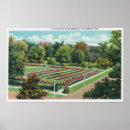 Search for perfect rose postcards Garden