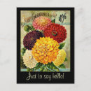 Search for vintage seed packets postcards Floral