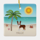 Search for seashell christmas tree decorations Crab