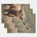 Search for horned wrapping paper Brown