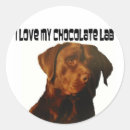 Search for chocolate lab stickers Pet