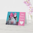 Search for ferret birthday cards Pet