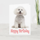 Search for bichon frise birthday cards Puppy