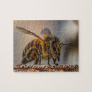 Search for honey bee puzzles Nature