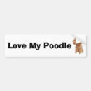 Search for poodle bumper stickers Animal