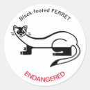 Search for ferret stickers Animal