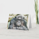 Search for chimpanzee cards Animal