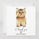 Search for yorkshire terrier dog birthday cards Pets