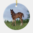 Search for thoroughbred horse christmas tree decorations Bob langrish