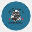 Search for these are my monkeys stickers On back