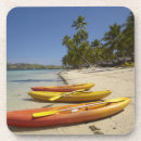 Search for fiji coasters Wall