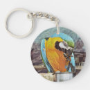 Search for macaw key rings Blue and yellow macaw