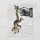 Search for ring tailed postcards Lemur