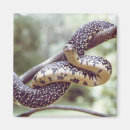 Search for speckle magnets Animal