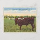 Search for steer postcards Farm
