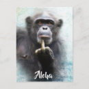 Search for offensive postcards Attitude
