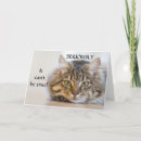 Search for funny cat 50th birthday cards Photography