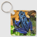 Search for darts key rings Wildlife