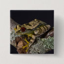 Search for toad square badges Wildlife