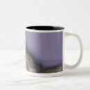 Search for attributed mugs Human attribute